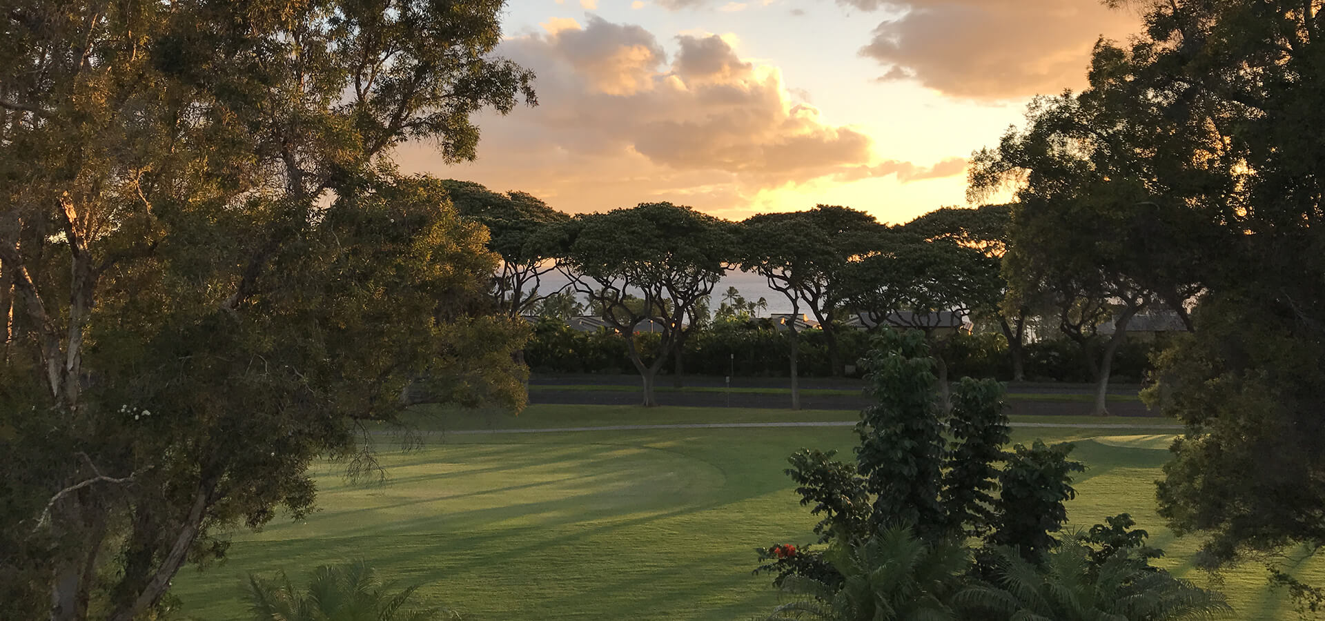 enter The Hale Lani